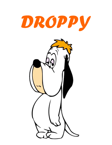 droppy