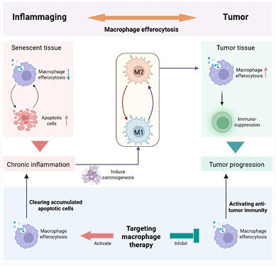 Screenshot 2026-03-25 at 21.08.57