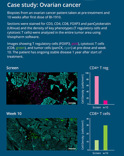{6E76DE66-E07F-4D77-942D-7028FD73DA78}