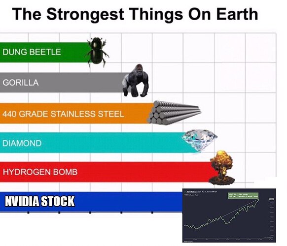 nvda