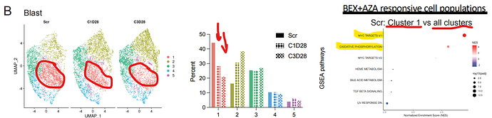 Blastit_scRNAseq