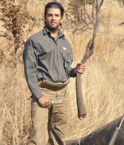 Trump jr