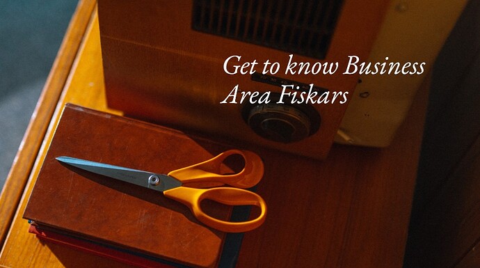 Get to know Business Area Fiskars image