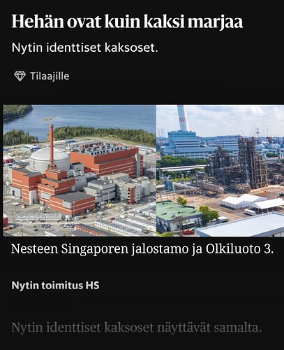 Kaksi marjaa
