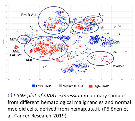 STAB1_expression_in_blood_cancers