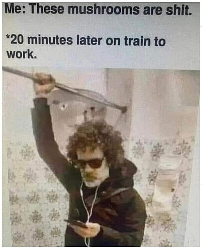 f88d38ec-5deb-458d-917e-92e6eb97404c