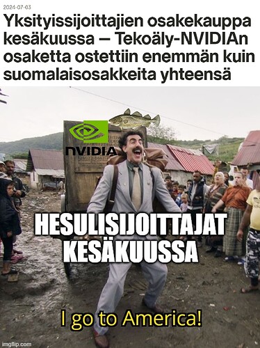 hesuli_nvidia_fin