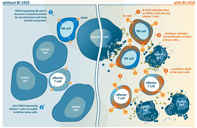 {6FBD488C-72D0-41FE-8C27-BF9D4383BB48}