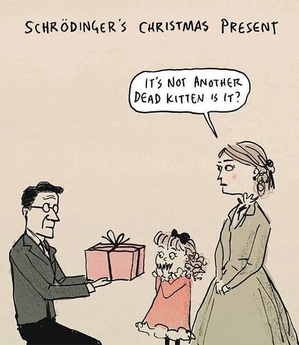 Schrödingerin joululahja