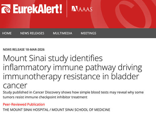 Screenshot 2026-03-20 at 13.08.02