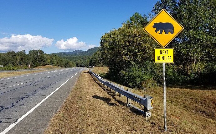 North-Georgia-Black-Bear-Signs-Project-1600x1000-1