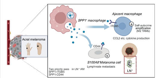 Screenshot 2026-04-22 at 22.54.03