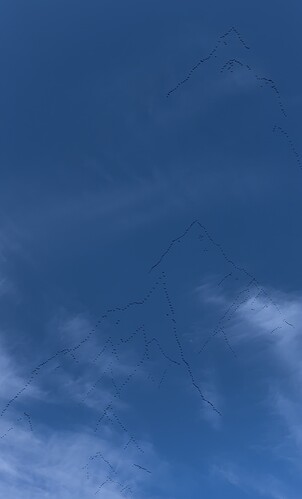 IMG_3946
