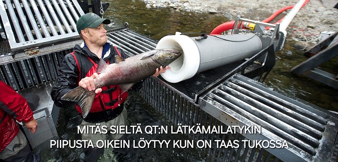 header-salmon-in-tubes