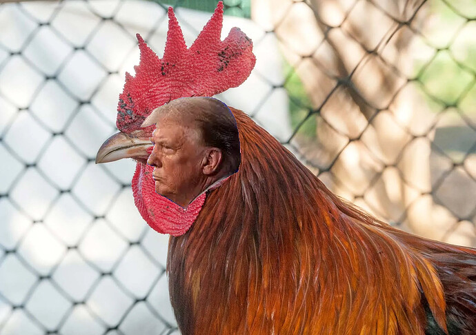 trum