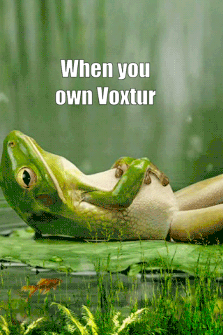 Voxtur