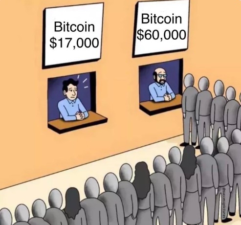 Bitcoin X