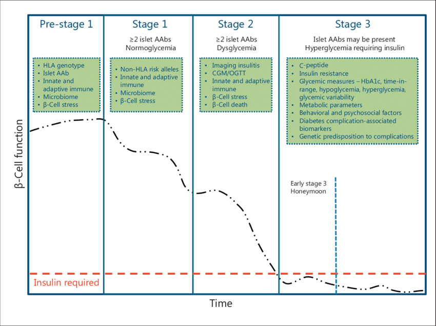 Progression-and-staging-of-type-1-diabetes-Type-1-diabetes-is-characterized-by-a